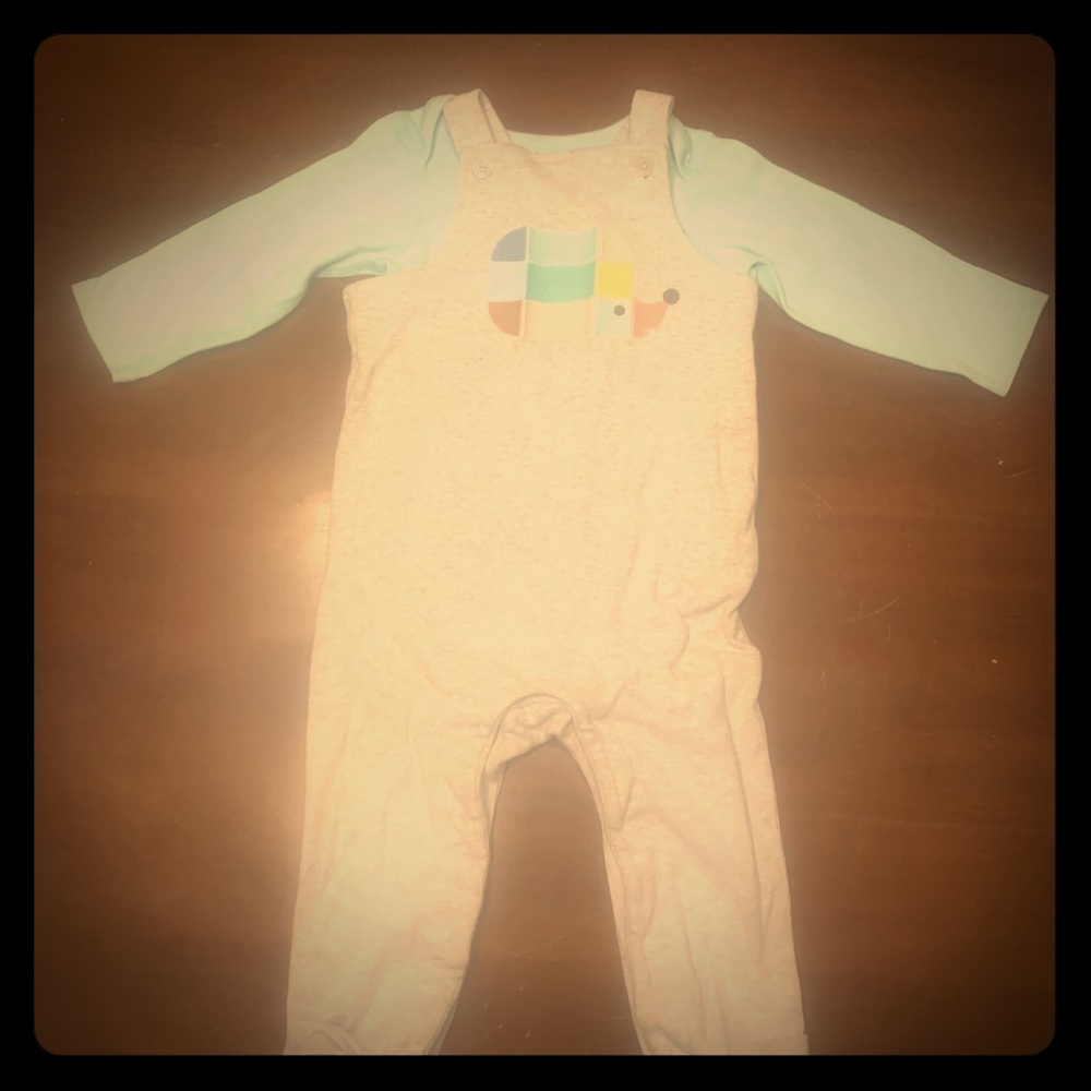 Colorful hedgehog overalls